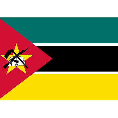 ACTIVITE. MOZAMBIQUE : L’armée de Terre met sur pied un détachement d’instruction opérationnelle