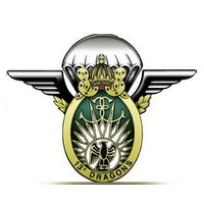 DÉCÈS au Levant : Un adjudant du 13e régiment de dragons parachutistes mortellement blessé le 23 septembre 2017.
