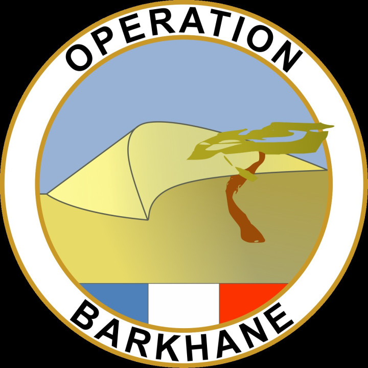 DOSSIER : Opération Barkhane en images