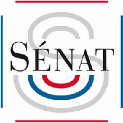 FORCES DE SÉCURITÉ INTÉRIEURE : Principales conclusions de la commission d'enquête et rapport complet du Sénat.