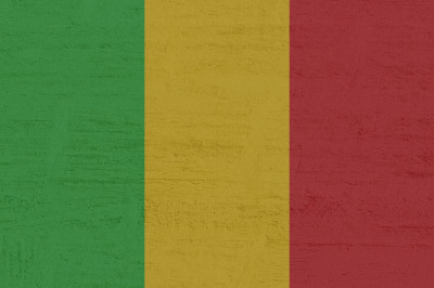 AFRIQUE. Mali : La France aurait dû s’arrêter à temps