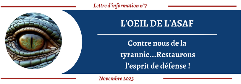 L'OEIL DE L'ASAF Lettre d'information n°7 - novembre 2023 Bandeau_JOOMLA_Billet_dhumeur_1